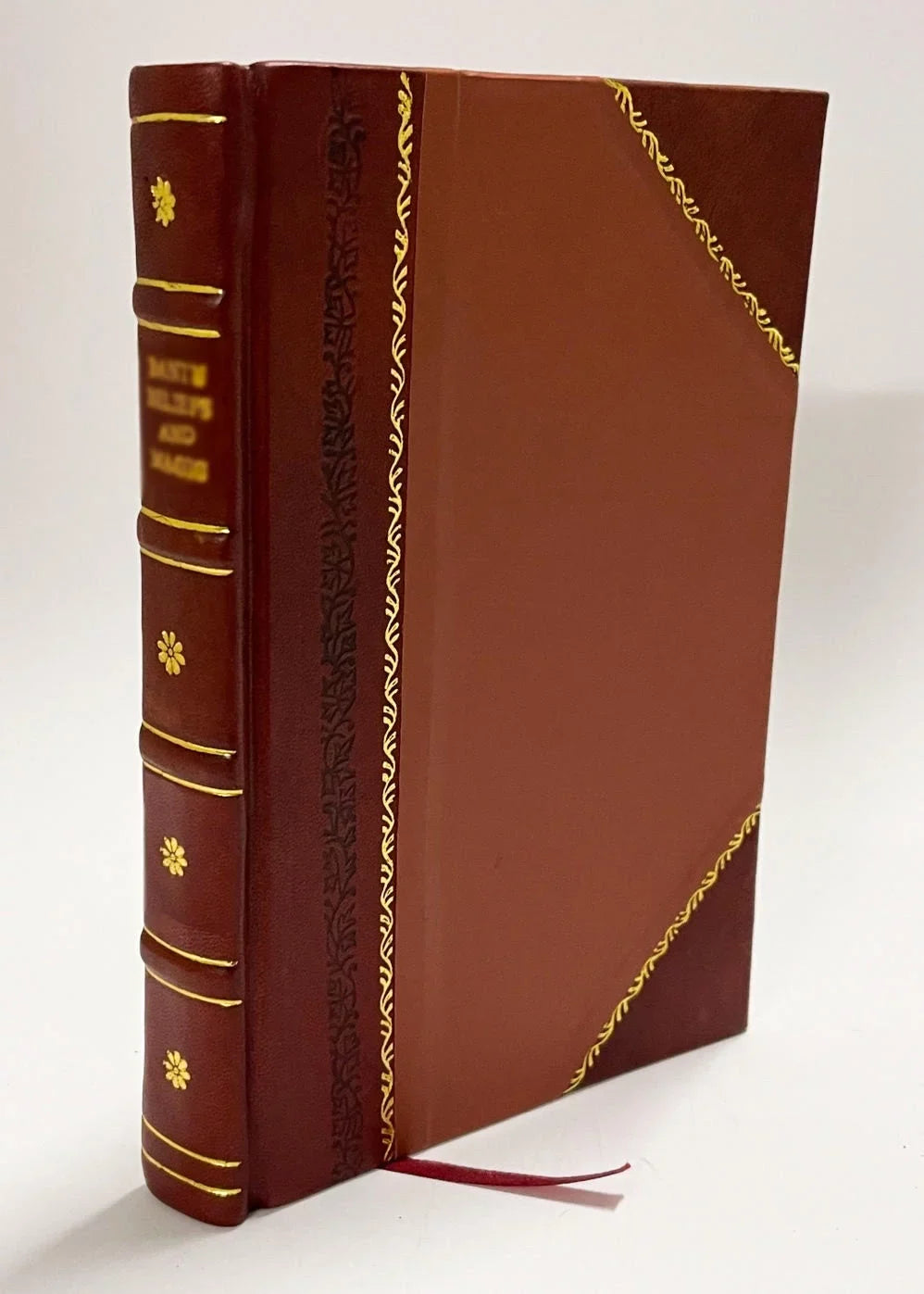 Dictionnaire Turc-Francais a L'Usage Des Agents Diplomatiques Et Consulaires; Des Commercants; Des Navigateurs; Et Autres Voyageurs Dans Le Levant ; Volume 1 / Jean Daniel (1835) [Leather Bound]