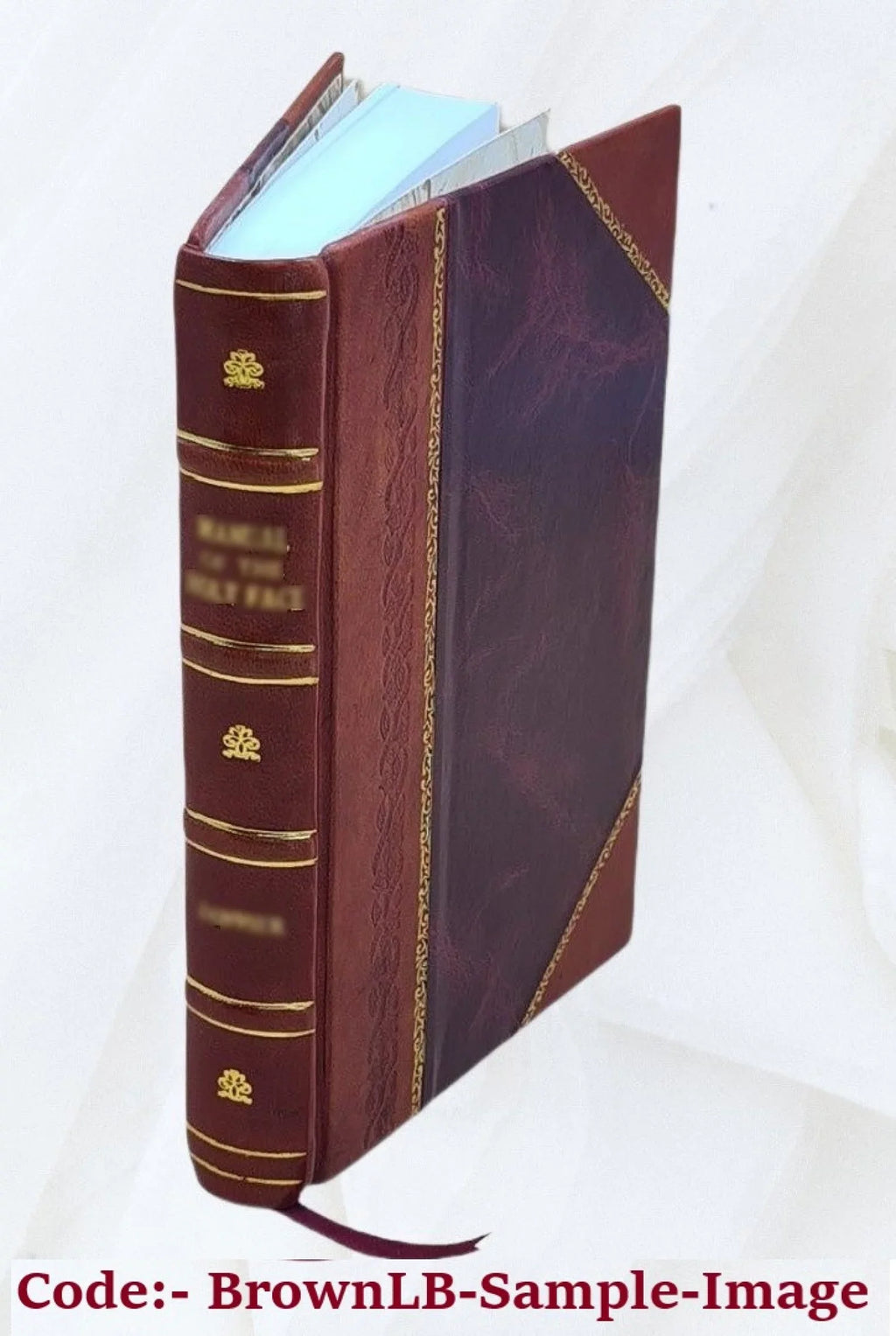 La Colombiade; poema eroica; di Bernardo Bellini ... Volume v.1-2 1826 [Leather Bound]