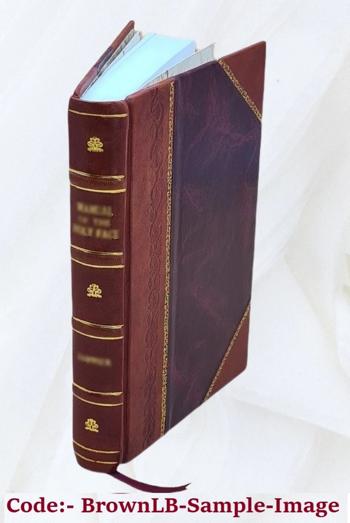 La Colombiade; poema eroica; di Bernardo Bellini ... Volume v.1-2 1826 [Leather Bound]